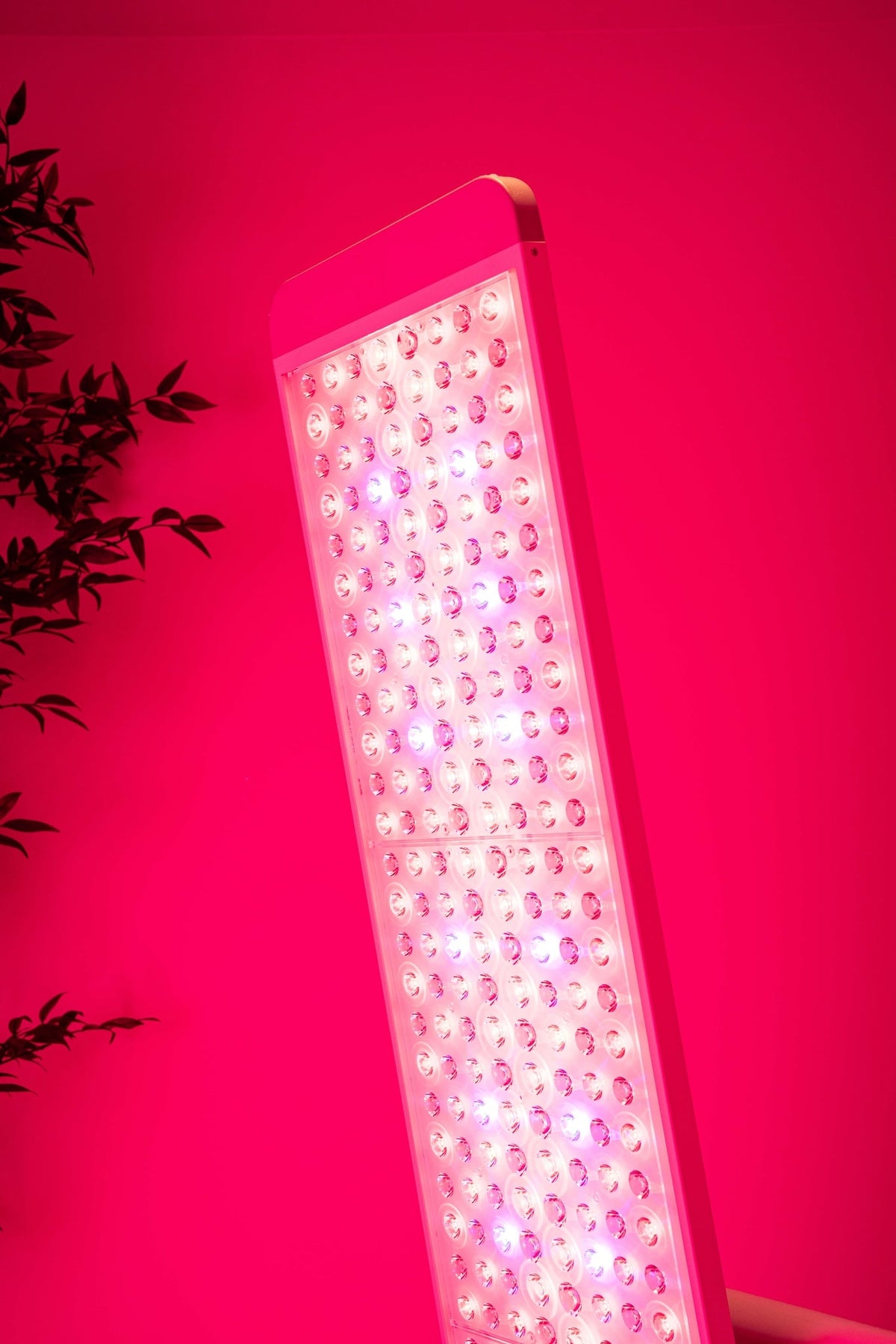 Renew Red Light The Panorama Panel Red, NIR & Blue LED Panel