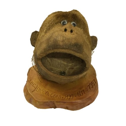 A&E Cage Company, Coco Head Card Holder, 6.7 Oz