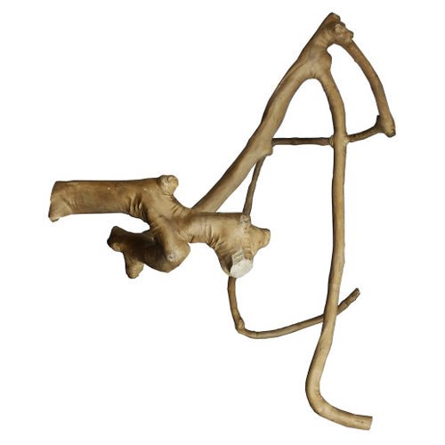 A&E Cage Company, Large Multi-Branch 26” X 2.4”, 1 Each