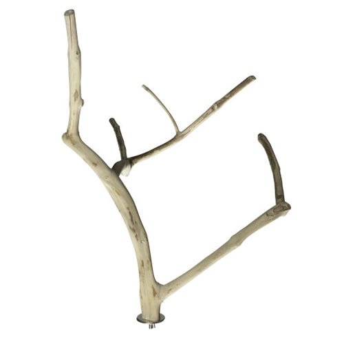 A&E Cage Company, Medium Multi-Branch 22” X 1.6”, 1 Each