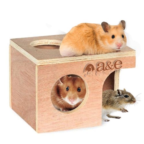 Medium Hamster/Gerbil Hut 6 1/4″ L X 5 1/8″ W X 4 1/2″ H 1 Each by A&E Cage Company