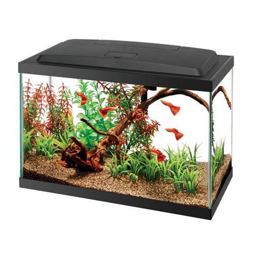 Aqueon, Aquarium Starter Kit with LED Lighting, 1 Count