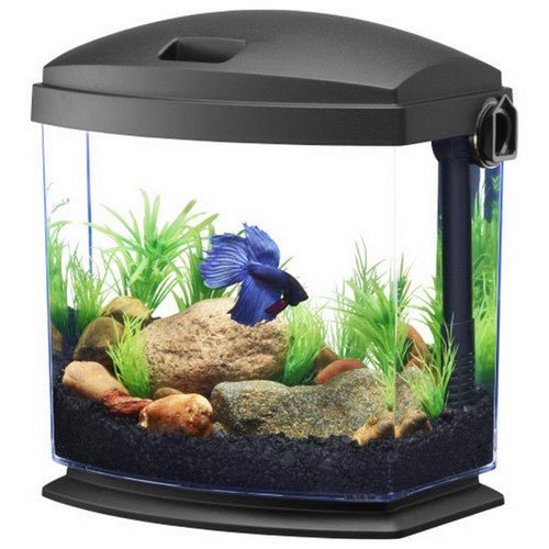 Aqueon, Aqueon BettaBow 1 with Quick Clean Technology Aquarum Kit Black, 1 gallon