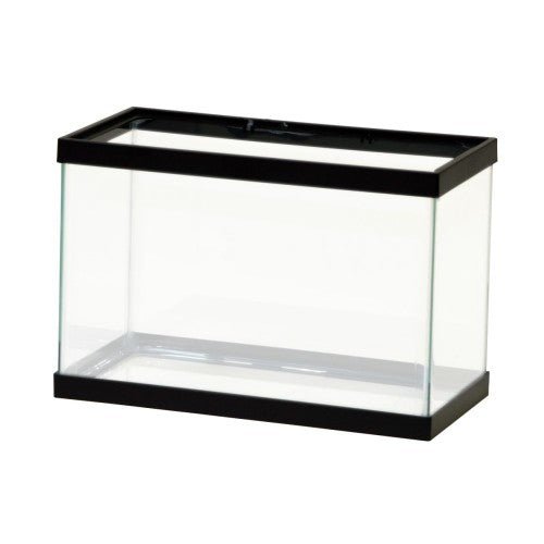 Aqueon, Aqueon Standard Glass Rectangle Aquarium, Clear Silicone, Black, 1ea/2.5 Gallon