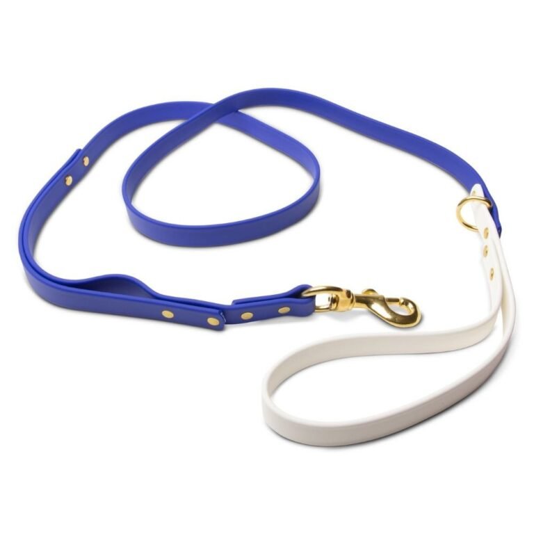 Biothane Dog Leashes (Blue/White)