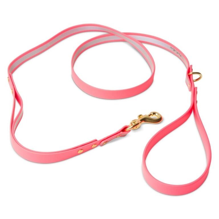 Biothane Dog Leashes (Pink – Reflective)