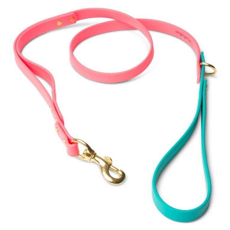 Biothane Dog Leashes (Pink/Teal)