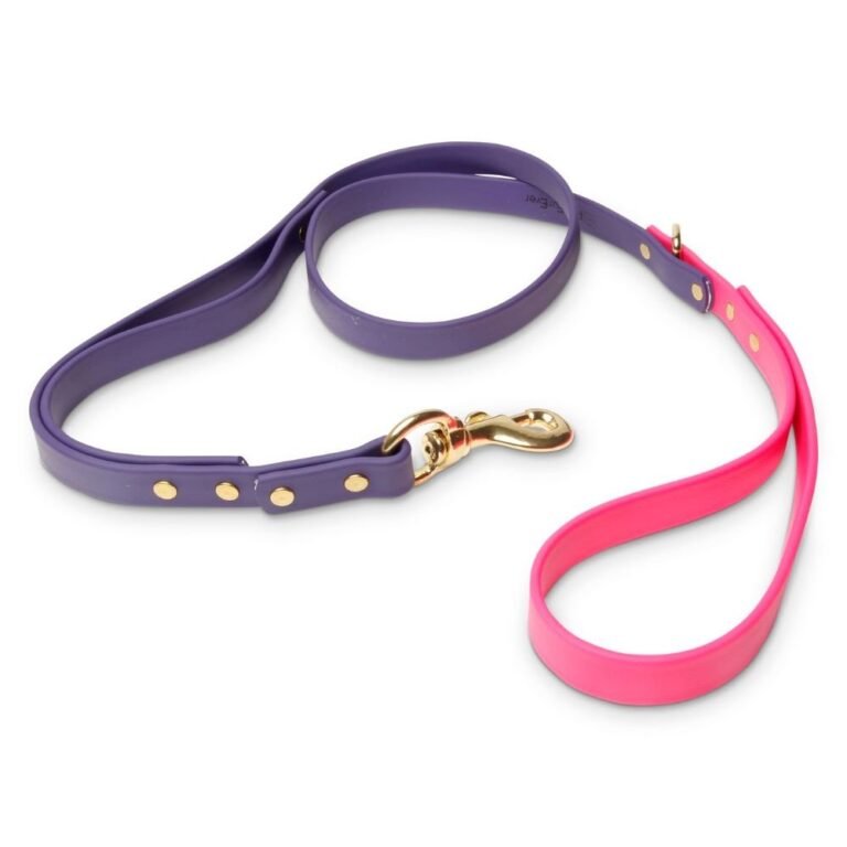 Biothane Dog Leashes (Purple/Pink)
