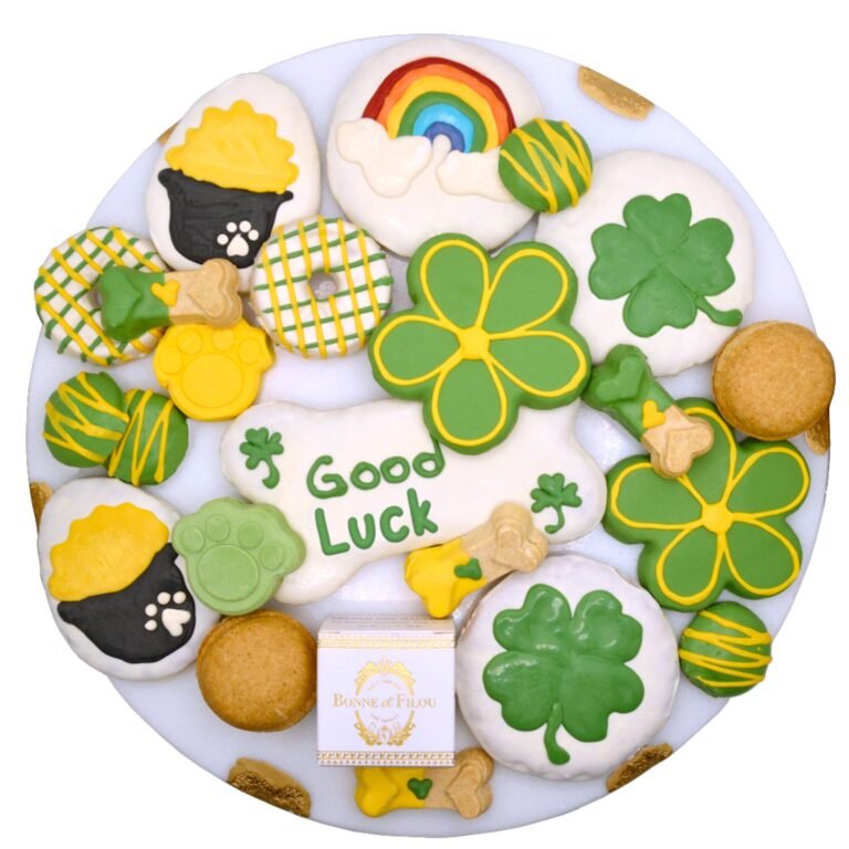 Good Luck Themed Dog Treats Gift Box