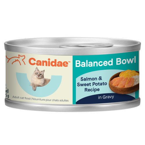Canidae, CANIDAE Balanced Bowl Wet Cat Food, Salmon & Sweet Potato, 24Each/3 Oz (Count of