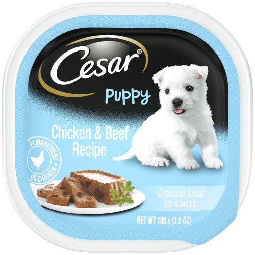 Cesar, Cesar Classic Loaf in Sauce Puppy Wet Dog Food, Chicken & Beef, 24Each/3.5 Oz, 24
