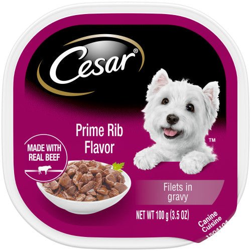 Cesar, Cesar Filets in Gravy Adult Wet Dog Food, Prime Rib, 24Each/3.5 Oz, 24 Pack (Count