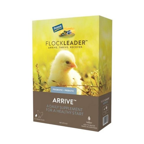 Flockleader, FlockLeader ARRIVE Poultry Supplement, 8 Oz