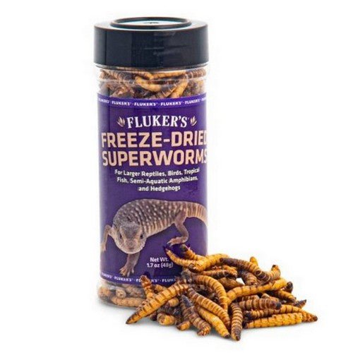 Fluker’s, Freeze Dried Superworms, 1 Count / 1.7 Oz