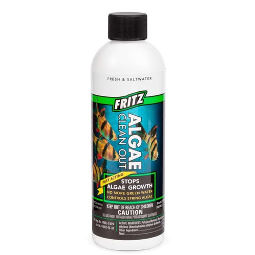 Fritz Aquatics, Fritz Algae Clean Out, 1 Each/8 Oz