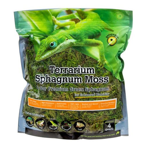 Galapagos, Galapagos 5-Star Terrarium Sphagnum Moss Snake Bedding Substrate, Fresh Green — 1 Each 4 Qt