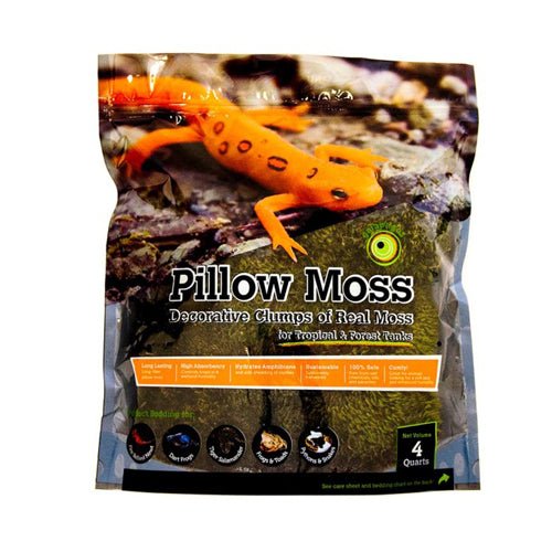 Galapagos, Galapagos Pillow Moss for Tropical & Forest Tanks, Fresh Green, 1 Each/4 qt