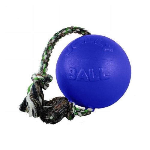 Jolly Romp-N-Roll Dog Toy 6″ Blue 1 Count by Jolly Pets