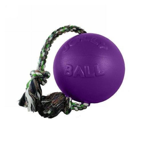 Jolly Romp-N-Roll Dog Toy 8″ Purple 1 Count by Jolly Pets