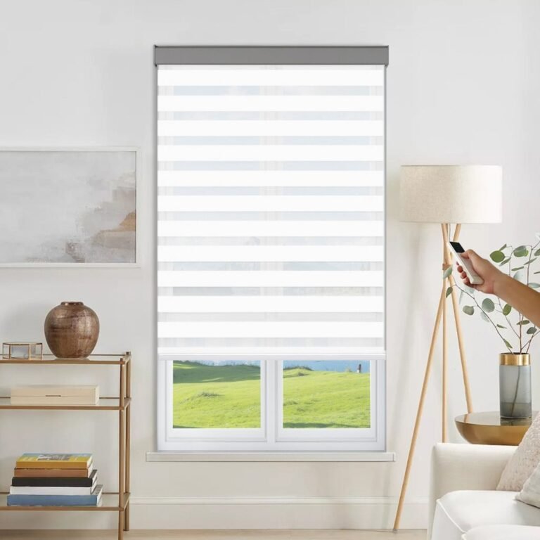 Joydeco Custom Plug-in Motorized Modern Light Filtering Dual Shade