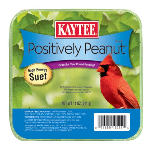 Kaytee, Kaytee Positively Peanut High Energy Mini Suet, 1 Each/11 Oz