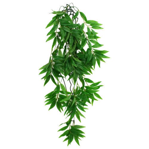 Komodo, Komodo Bamboo Hanging Plant, 1 Each/LG, 26 in