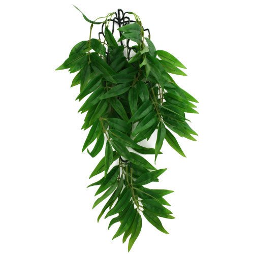 Komodo, Komodo Bamboo Hanging Plant, 1 Each/SM, 16 in