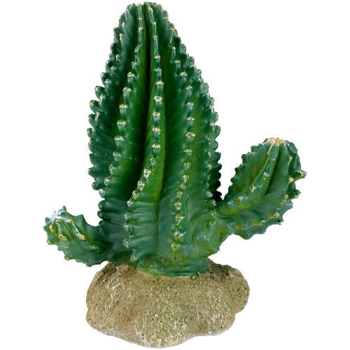 Komodo, Komodo Cactus Plant Columnar, 1 Each/5.9 in