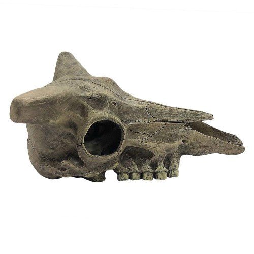 Komodo, Komodo Deer Skull Reptile Hideout, Gray, 1 Each/One Size
