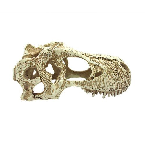 Komodo, Komodo T-Rex Skull Reptile Hideout, Tan, 1 Each/Large