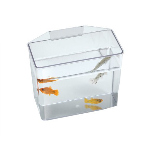 Lee’s Aquarium & Pet Products, Lee’s Aquarium & Pet Products Break Resistant Specimen