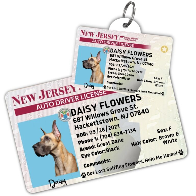 License Tag (New Jersey)