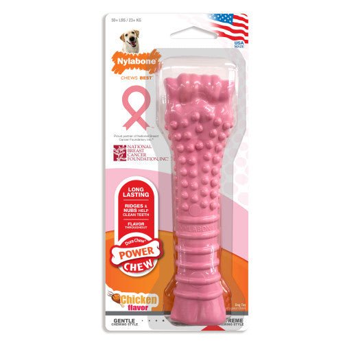 Nylabone, Nylabone Breast Cancer Awareness Pink Power Chew Textured Dog Toy, 1