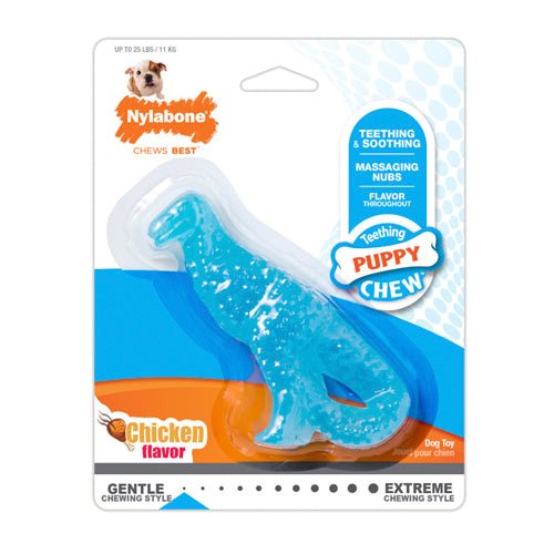 Nylabone, Nylabone Puppy Dental Dinosaur Chew Toy for Teething Puppies, Dinosaur, 1