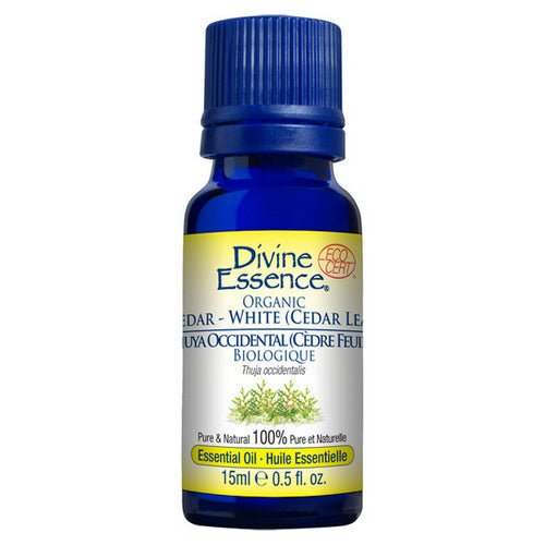 Organic Essential Oil Cedar White (Cedar leaf) 15 Ml by Divine Essence
