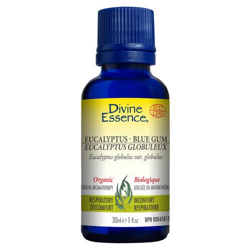 Organic Essential Oil Eucalyptus Blue Gum 30 Ml by Divine Essence