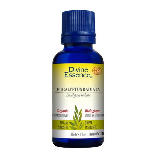 Organic Essential Oil Eucalyptus Radiata 30 Ml by Divine Essence