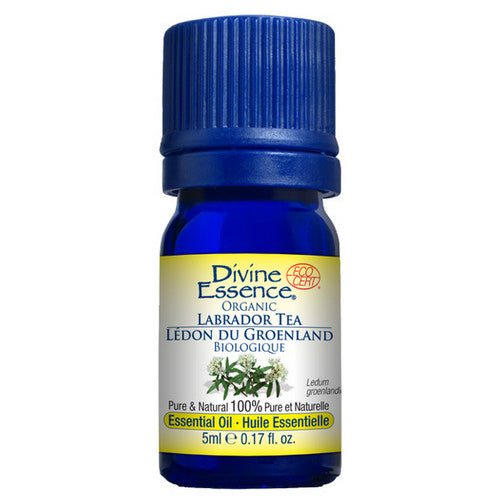 Organic Essential Oil Labrador Tea 5 Ml by Divine Essence