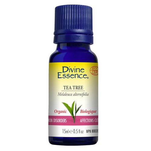 Organic Essential Oil Tea Tree 15 Ml by Divine Essence