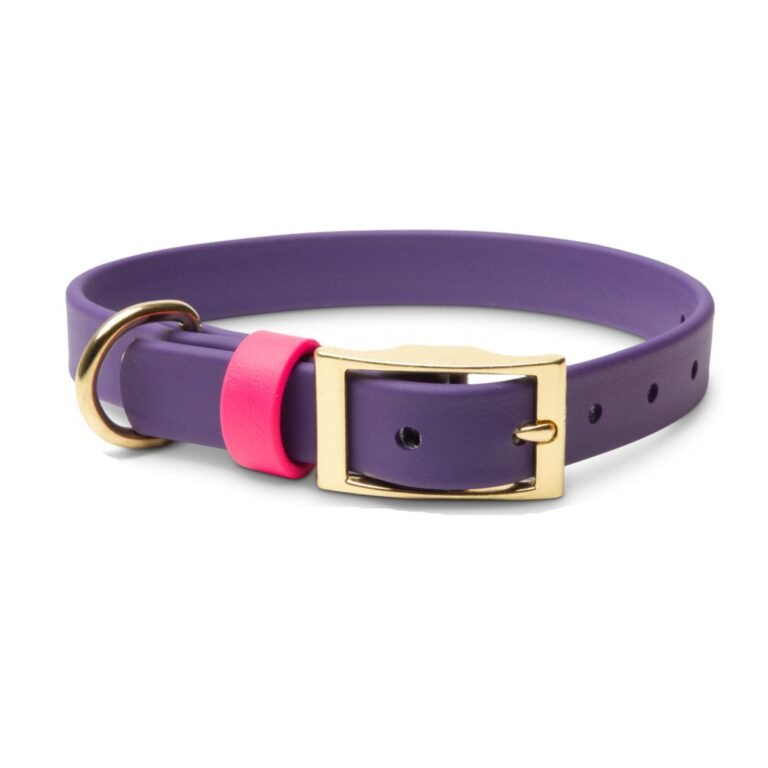Waterproof Pink & Purple Dog Collar – Stylish and Smell Free (Purple, Pink)