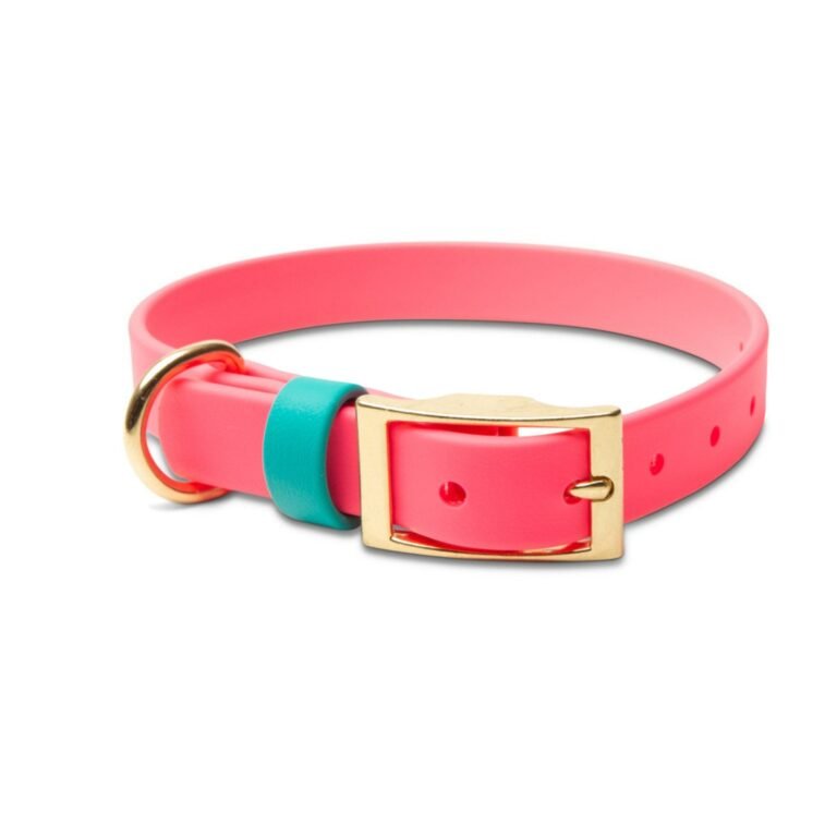 Pink & Teal Waterproof Biothane Dog Collar