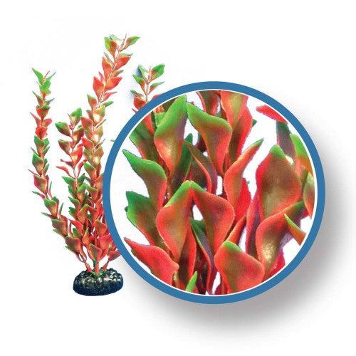 Weco, Weco Products Freshwater Pro Series Ludwigia Aquarium Plant, Red, 1 Each/9 in