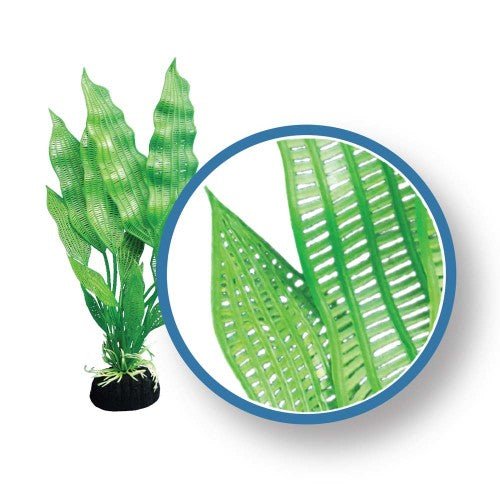 Weco, Weco Products Freshwater Pro Series Madagascar Lace Aquarium Plant, Green, 1 — Each 18