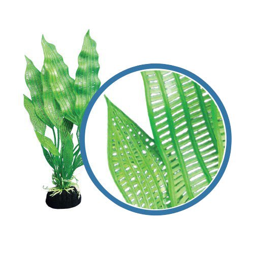 Weco, Weco Products Freshwater Pro Series Madagascar Lace Aquarium Plant, Green, 1 Each/6