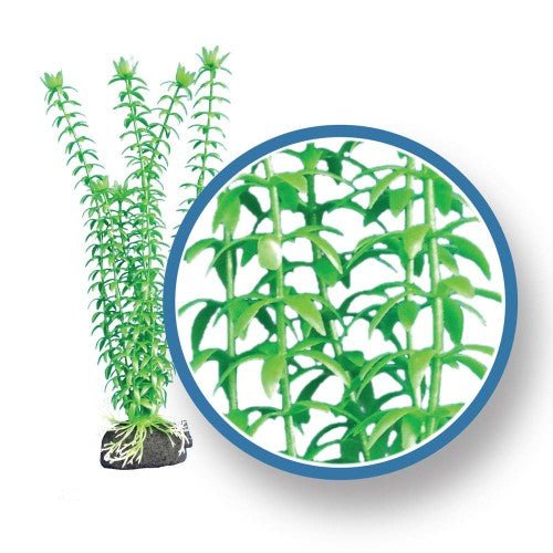 Weco, Weco Products Freshwater Pro Series Tonina Aquarium Plant, Green, 1 Each/18 in