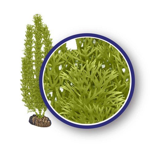 Weco, Weco Products Freshwater Series Foxtail Aquarium Plant, Green, 1 Each/12 in