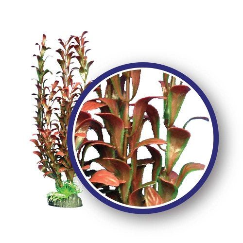 Weco, Weco Products Freshwater Series Hygrophilia Aquarium Plant, Red, 1 Each/6 in
