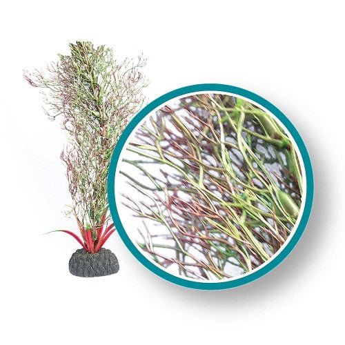 Weco, Weco Products Marine Pro Series Fine Branch Kelp Aquarium Plant, Green, 1 Each/30 in