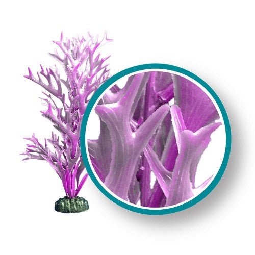 Weco, Weco Products Marine Pro Series Giant Kelp Aquarium Plant, Purple, 1 Each/6 in