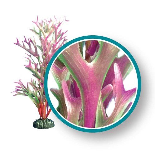 Weco, Weco Products Marine Pro Series Giant Kelp Aquarium Plant, Red, 1 Each/18 in, Giant